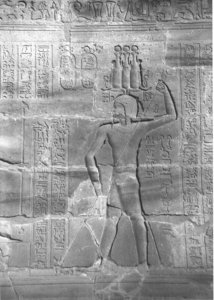 Photo »4391« aus dem Edfu-Projekt.