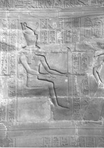 Photo »4397« aus dem Edfu-Projekt.