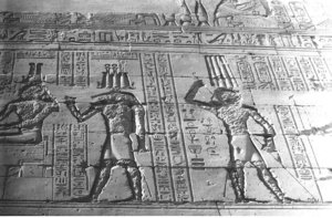 Photo »1125« aus dem Edfu-Projekt.
