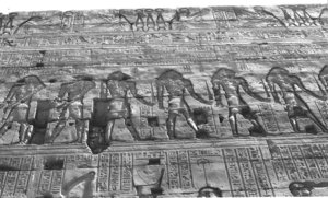 Photo »1508« aus dem Edfu-Projekt.