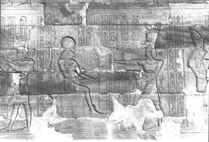 Photo »371« aus dem Edfu-Projekt.