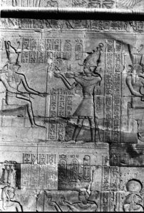 Photo »456« aus dem Edfu-Projekt.