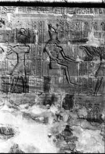 Photo »472« aus dem Edfu-Projekt.