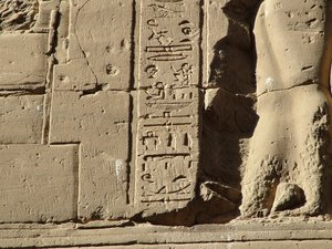 Photo »D05_1016« aus dem Edfu-Projekt.