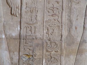 Photo »D05_6358« of the Edfu-Project.