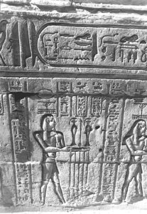 Photo »1168« aus dem Edfu-Projekt.