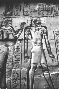 Photo »1304« aus dem Edfu-Projekt.