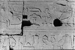 Photo »24« of the Edfu-Project.