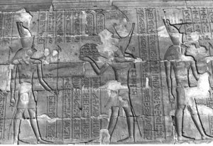 Photo »261« aus dem Edfu-Projekt.