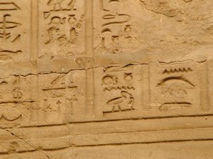 Photo »D05_1943« aus dem Edfu-Projekt.