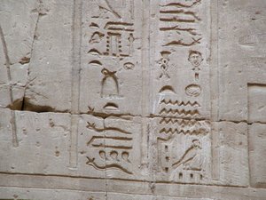 Photo »D05_2720« aus dem Edfu-Projekt.