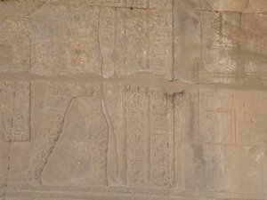 Photo »D05_4630« of the Edfu-Project.