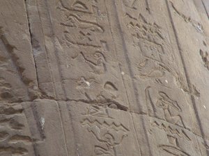 Photo »D05_6986« of the Edfu-Project.