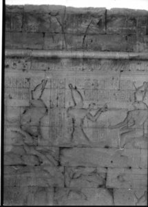 Photo »1008« aus dem Edfu-Projekt.