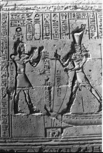 Photo »1355« aus dem Edfu-Projekt.