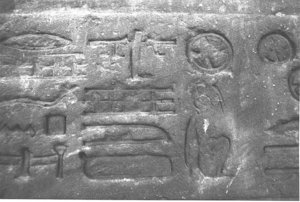 Photo »3875« aus dem Edfu-Projekt.