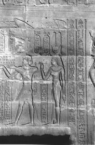 Photo »4072« aus dem Edfu-Projekt.
