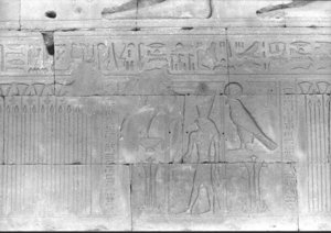 Photo »629« aus dem Edfu-Projekt.