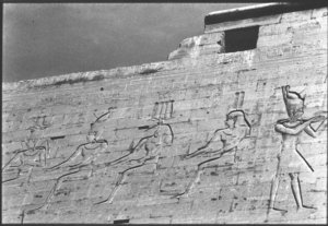 Photo »72« of the Edfu-Project.