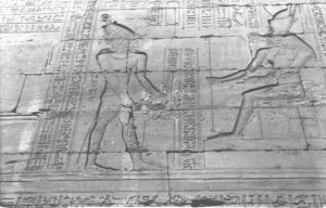 Photo »1432« aus dem Edfu-Projekt.