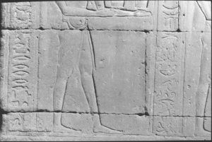 Photo »15« of the Edfu-Project.