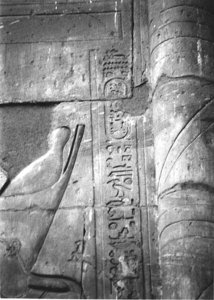 Photo »4149« aus dem Edfu-Projekt.