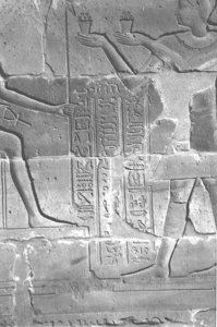 Photo »4200« aus dem Edfu-Projekt.