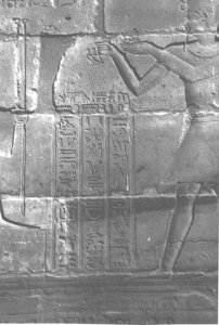 Photo »4286« aus dem Edfu-Projekt.
