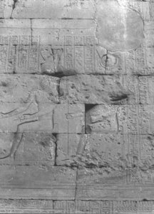 Photo »830« of the Edfu-Project.