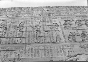 Photo »1480« aus dem Edfu-Projekt.