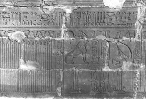 Photo »231« aus dem Edfu-Projekt.