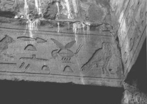 Photo »3443« of the Edfu-Project.