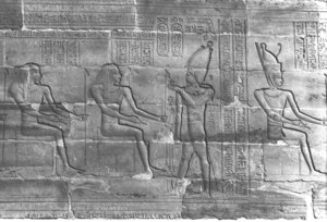 Photo »354« aus dem Edfu-Projekt.