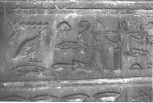 Photo »3887« aus dem Edfu-Projekt.