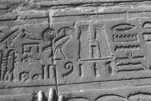 Photo »3920« aus dem Edfu-Projekt.