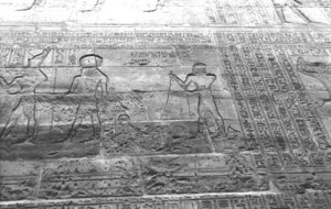 Photo »1414« aus dem Edfu-Projekt.