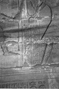 Photo »4226« aus dem Edfu-Projekt.
