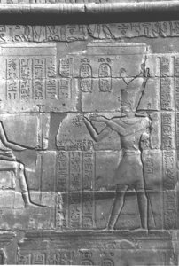 Photo »4285« aus dem Edfu-Projekt.