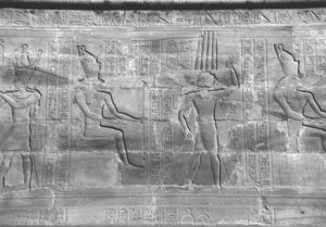 Photo »4395« aus dem Edfu-Projekt.