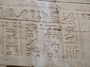 Photo »D05_3456« aus dem Edfu-Projekt.