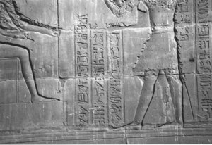 Photo »4260« aus dem Edfu-Projekt.