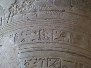 Photo »D05_6306« of the Edfu-Project.