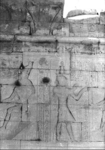 Photo »1004« of the Edfu-Project.