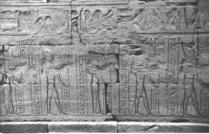 Photo »1088« aus dem Edfu-Projekt.