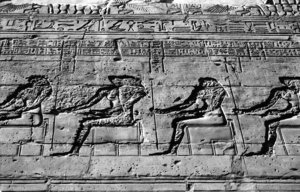 Photo »1187« aus dem Edfu-Projekt.