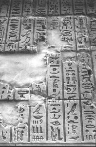 Photo »1319« aus dem Edfu-Projekt.