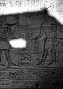 Photo »2206« aus dem Edfu-Projekt.