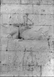 Photo »870« aus dem Edfu-Projekt.