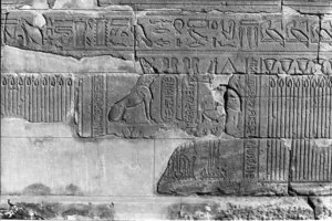 Photo »215« aus dem Edfu-Projekt.
