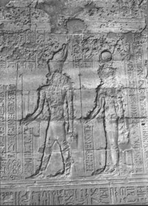 Photo »2219« aus dem Edfu-Projekt.
